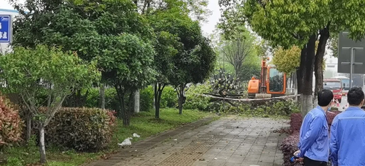 學黨史辦實事丨車谷先進制造產業區做實“實踐課堂”