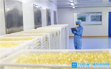 威海黨史史志網 威海要聞 打好“特字牌”,威海各區市、開發區護航先進制造業突破發展