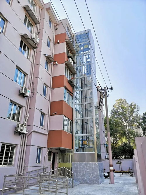 學黨史 當先鋒 辦實事 寶山黨史學習教育亮點紛呈