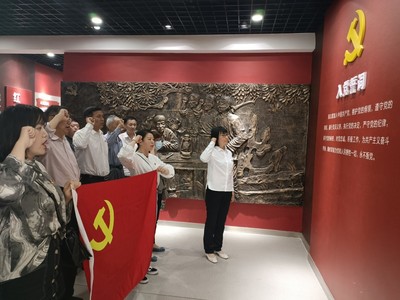 南京市高淳區淳溪街道大豐社區開展“紅色教育踐初心、黨史學習擔使命”主題黨日活動