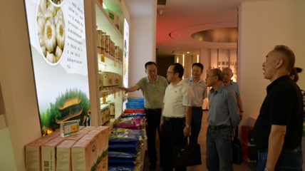 市委黨史學習教育第八巡回指導組到市供銷社督導黨史工作